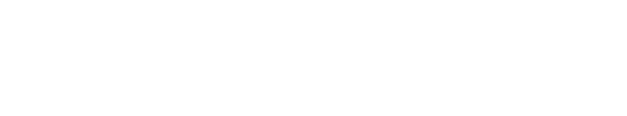 Hendricks Shipping Group